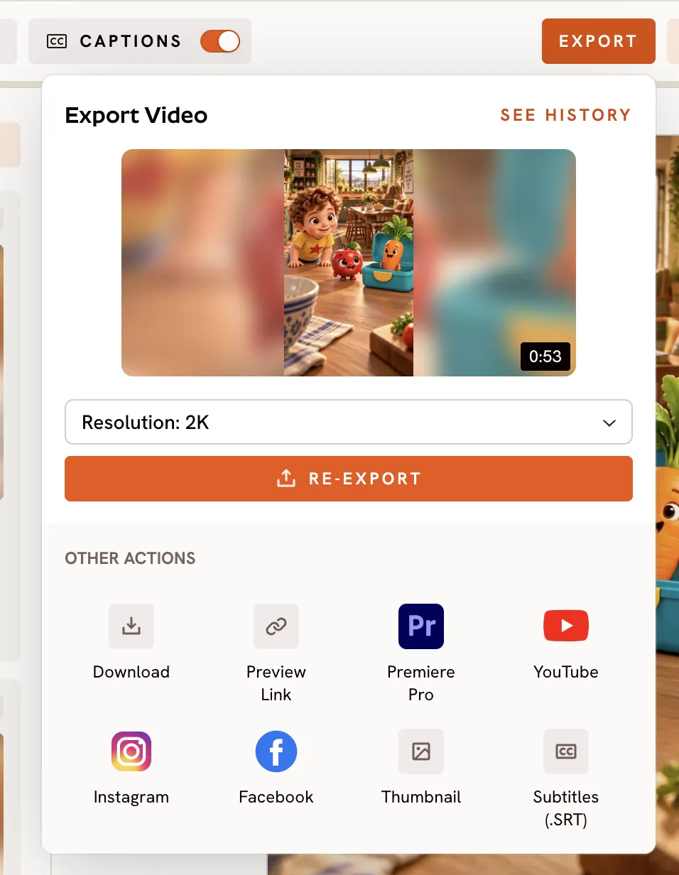 Export menu: Re-export, download, share a link, Premiere Pro, or publish to YouTube, Instagram and Facebook.
